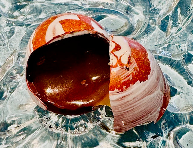 Honey Caramel filled Milk Chocolate Bonbon